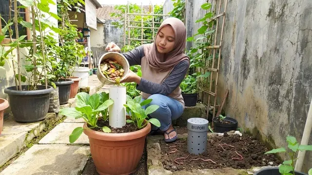 Beda Biopori dan Losida