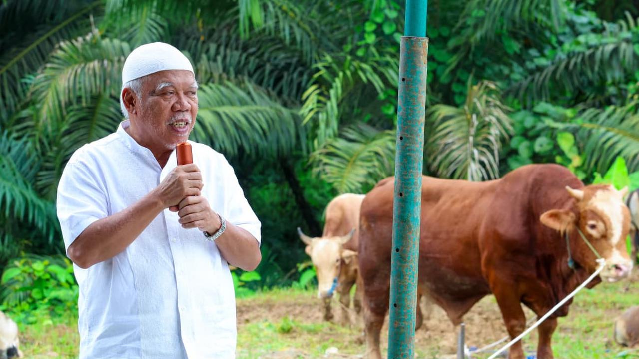 Prabowo dan Gibran Serahkan 3 Sapi Kurban ke IKN