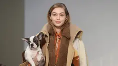 Model asal AS, Gigi Hadid menggendong anak anjing saat memamerkan rancangan Tod's di Milan Fashion Week, Milan, Italia, Jumat (23/2). (Filippo MONTEFORTE/AFP)
