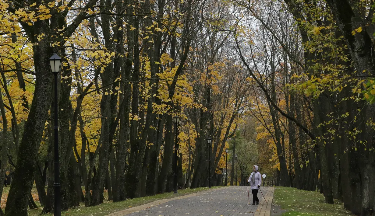 Seorang wanita berjalan di antara pohon-pohon berwarna musiman pada hari musim gugur di sebuah taman kota di Minsk, Belarus (11/10/2019). (AP Photo/Grits Sergei)