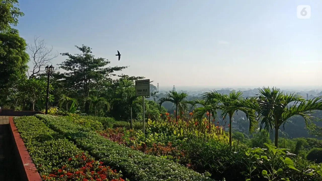 taman wilis
