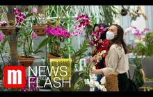 VIDEO: Keindahan Ragam Bunga di Batu Love Garden