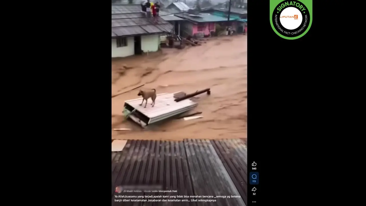 Tangkapan layar klaim video anjing dan sapi hanyut terbawa banjir yang beredar di Facebook.