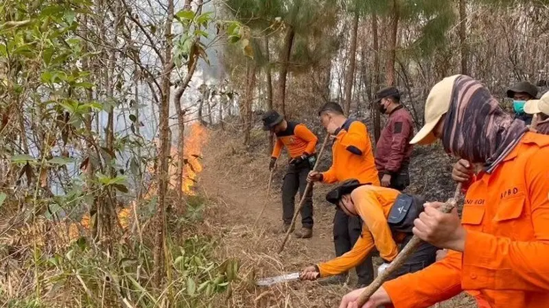 Petugas gabungan memadamkan api di Gunung Lawu. (istimewa)