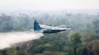 Pesawat militer Brasil mengguyurkan ribuan liter air ke Hutan Amazon (Kementerian Pertahanan Brasil via AP)