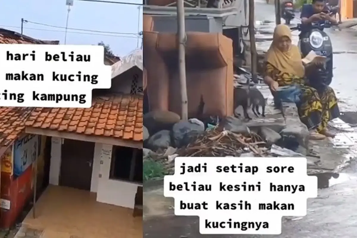 Kerap Beri Makan Kucing Liar Sekitar Rumah, Kisah Ibu Ini Bikin Haru