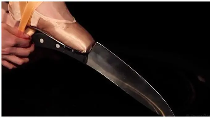 courtesy of boredpanda