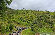 Fakta Menarik: Luas Hutan Berkurang 3 Juta Hektare, Papua Barat Perbarui Peta Kawasan Hutan dan Perairan