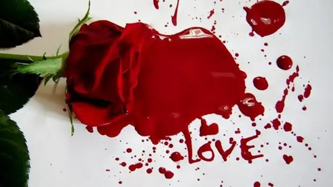 Ilustrasi (c) starssystem.it