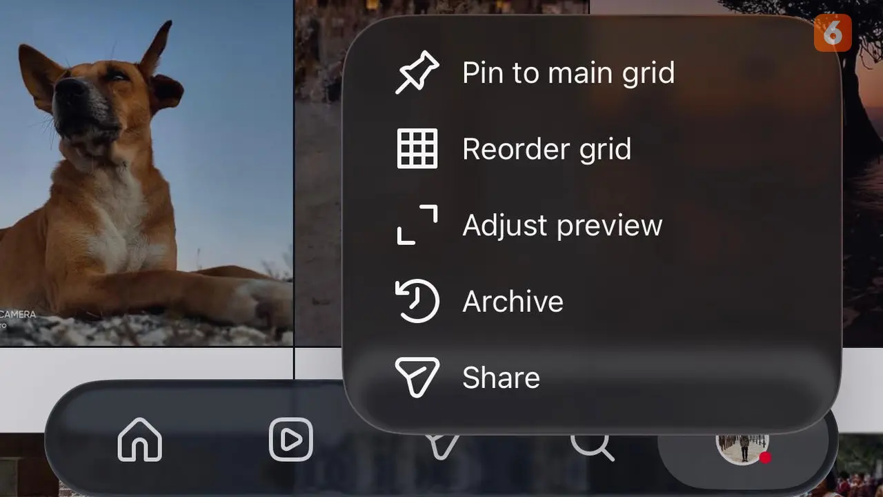 Grid pofil Instagram