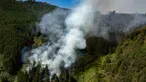 Foto udara ini menunjukkan asap yang mengepul dari kebakaran hutan di Nemocon, Kolombia pada 24 Januari 2024. (Luis ACOSTA/AFP)