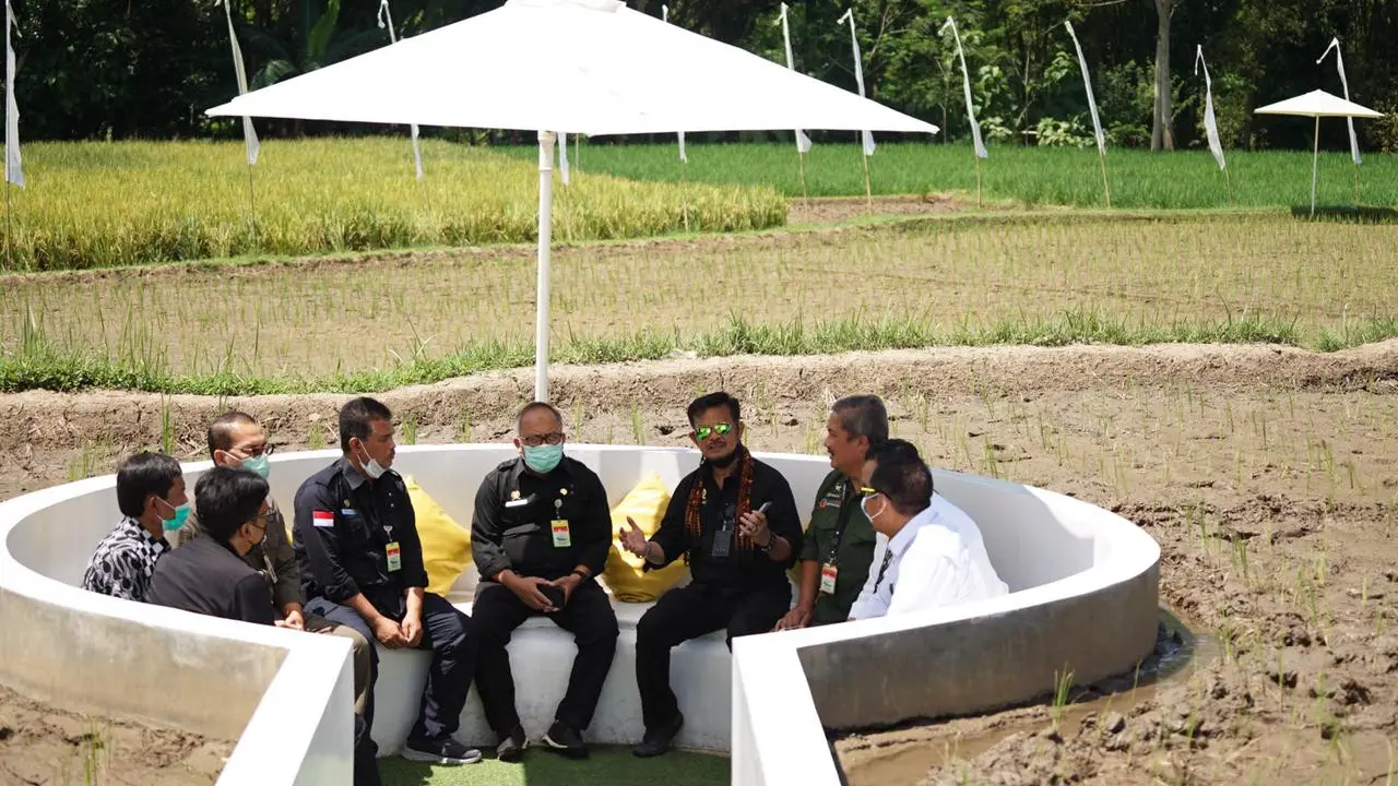 Menteri Pertanian Syahrul Yasin Limpo (Mentan SYL) mengunjungi sekaligus panen padi di Svarga Bumi Borobudur, lokasi agro wisata sawah Kabupaten Magelang,