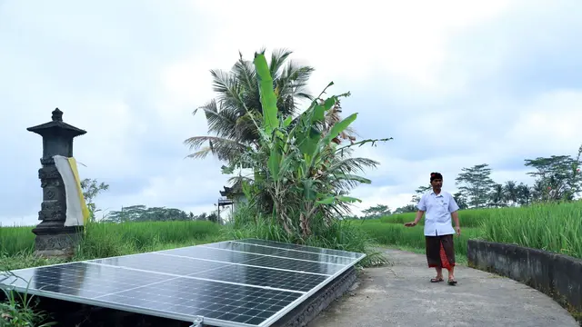 Desa Energi Berdikari Pertamina