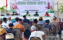 MUI dan Pemkab Nabire Gelar Edukasi Komprehensif untuk Pengelolaan Hewan Kurban Aman dan Syar'i