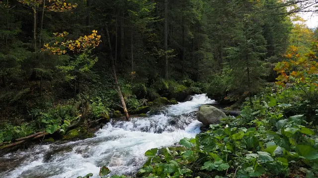 Tatra National Park