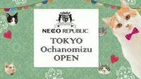 Neco Republic Cafe, Kucing Liar Menemukan "Rumah Baru"