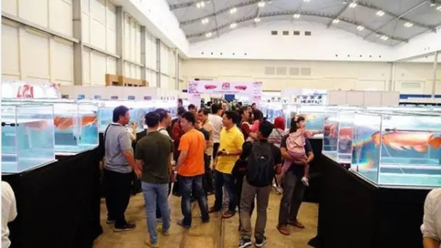 Nusatic 2018