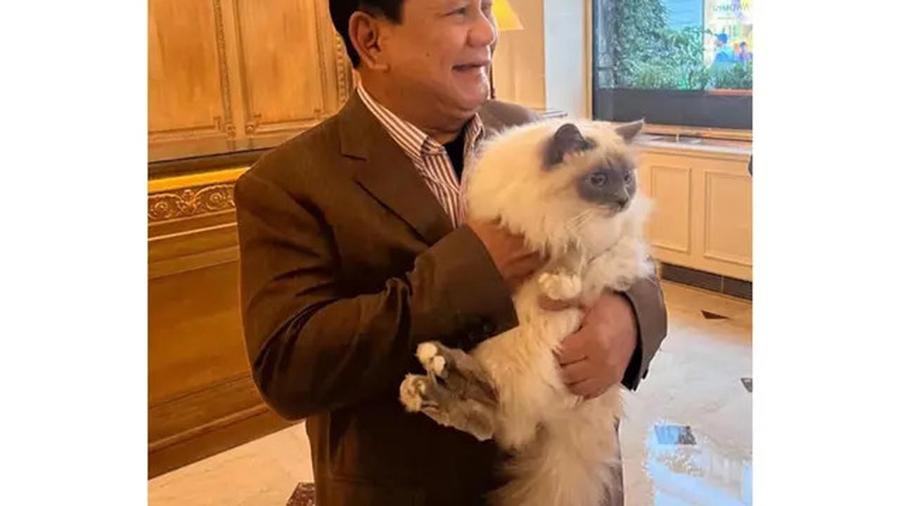 Foto Prabowo Gendong Kucing Bobby Kertanegara di Istana Disukai 2,3 Juta Orang, Rossa Sampai Gemas