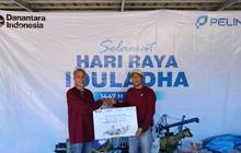Pelindo Bengkulu Salurkan Sapi Kurban ke Pulau Enggano, Perkuat Kepedulian Sosial