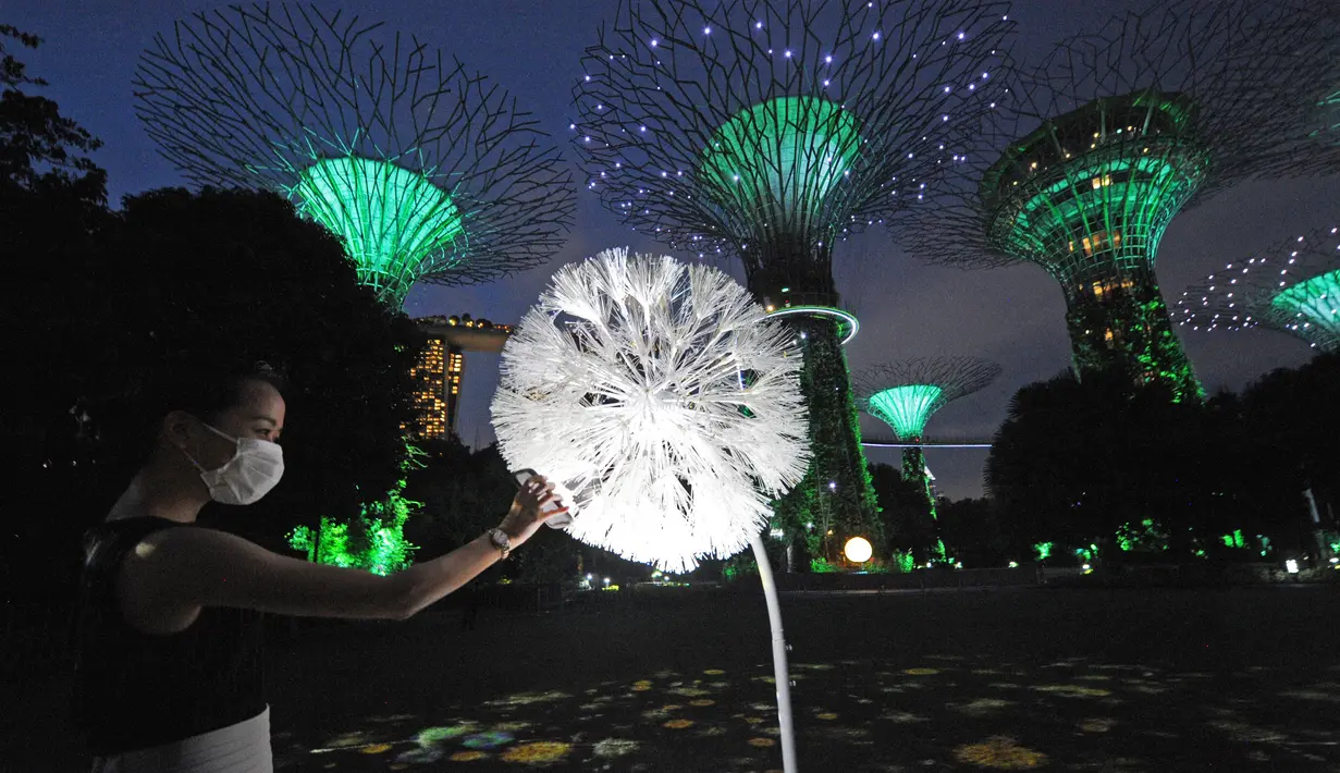 Pengunjung berinteraksi dengan instalasi multimedia "Dandelion" di Gardens by the Bay, Singapura, 9 November 2020. Instalasi interaktif tersebut memungkinkan orang-orang di Singapura dan Jepang berinteraksi satu sama lain melalui serabut-serabut halus bunga dandelion virtual. (Xinhua/Then Chih Wey)