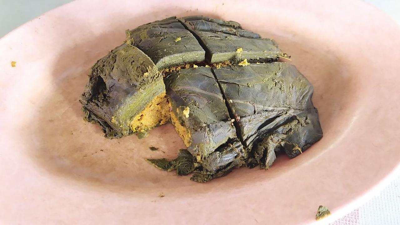 Pendap dari Bengkulu