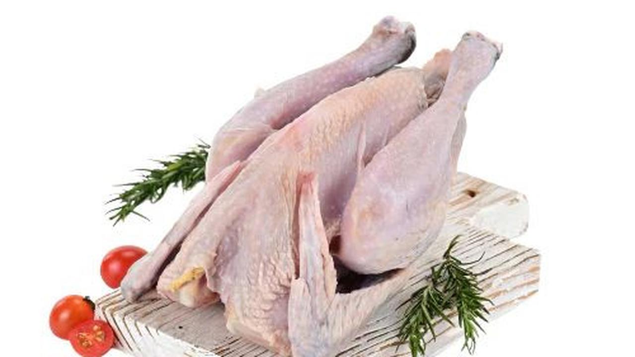 2. Pilih Ayam yang Berkualitas