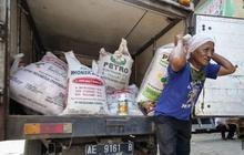 Trivia Pupuk: Serapan Pupuk Subsidi Kota Madiun Capai 65,68% Hingga Agustus 2025, Petani Madiun Siap Panen?