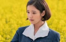 Punya Skill Akting Paling Mengagumkan, Ini 5 Artis Terbaik Drama Korea yang Masuk Nominasi Baeksang Arts Awards ke-61
