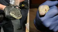 Tiga anggota kepolisian Dutton Park, Brisbane, Queensland, Australia memperlihatkan ular piton zaitun yang disita dari sebuah rumah di Lytton Road, Brisbane Timur. (Queensland Police Service)