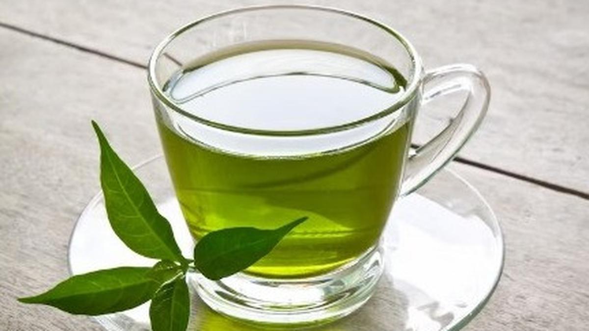Resep Rebusan Daun Herbal untuk Kesehatan Tubuh