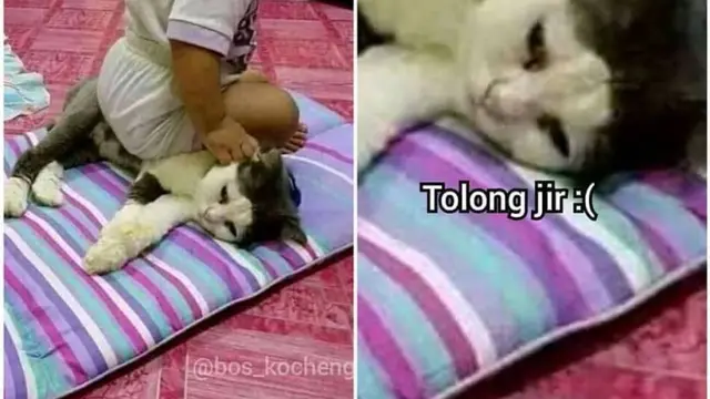 5 Momen Kocak Orang Pasrah Sama Keadaan, Ngenes Abis