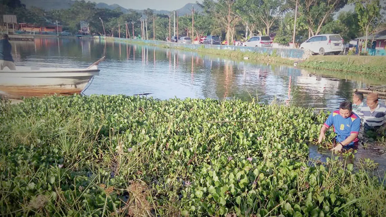 Demi Adipura, Bupati Bone Bolango Ceburkan Diri ke Danau Perintis