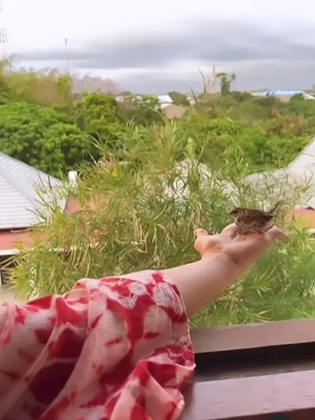 Maudy Koesnaedi selamatkan burung kecil (Instagram/maudykoesnaedi)