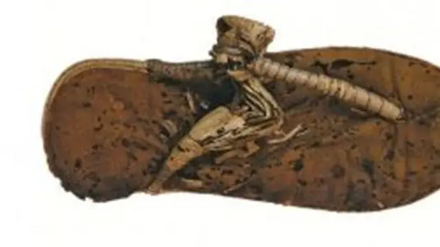 Sandal Jepit Tertua di Dunia dari 1.500 Tahun Lalu