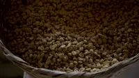 Biji kopi Arabika yang dipanen tahun sebelumnya disimpan di perkebunan kopi di Ciudad Vieja, Guetemala, pada tanggal 22 Mei 2014. Dalam sebuah studi yang diterbitkan di jurnal Nature Genetics pada Senin, 15 April 2024, para peneliti memperkirakan bahwa Coffe Arabica berasal dari perkawinan silang alami dari dua spesies kopi lainnya lebih dari 600.000 tahun yang lalu. (AP Photo/Moises Castillo)