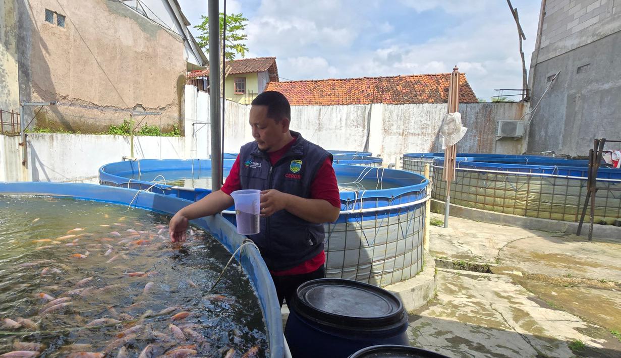 Energi bersih ini tidak hanya menyediakan penerangan, tetapi juga mendorong kegiatan ekonomi produktif seperti budidaya ikan sistem bioflok.
