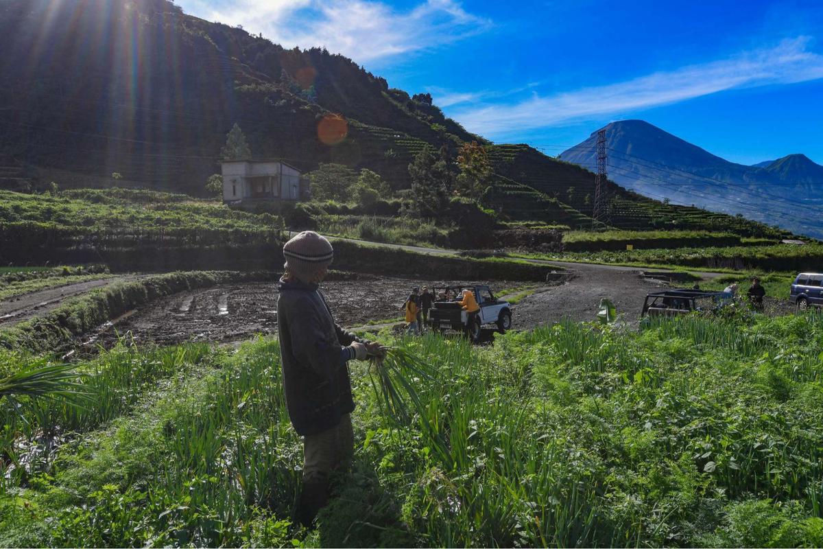 Indahnya Desa Wisata Sembungan yang dijuluku Swiss van Java