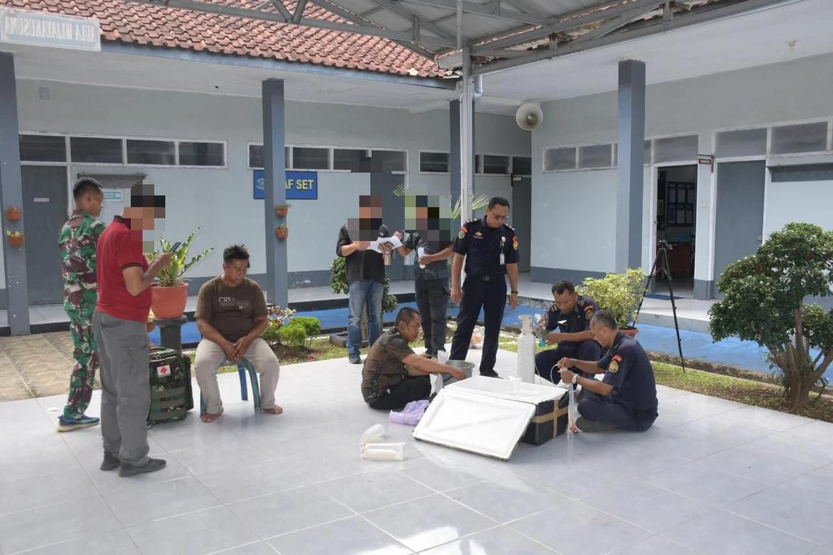 TNI AL Gagalkan Penyelundupan Benih Bening Lobster Ilegal, Nilainya Capai Rp2,5 Miliar