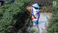 Petani mengambil hasil panen cabai di Brebes, Jawa Tengah, Minggu (2/7). Akibat cuaca buruk ini, para petani memilih panen dini lantaran khawatir mengalami gagal panen. (Liputan6.com/Faizal Fanani)