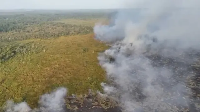 Kebakaran masih melanda TNWK di Lampung Timur, Lampung