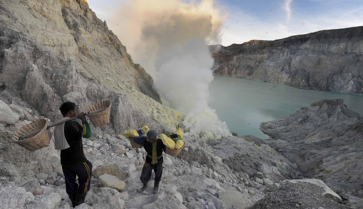Daya tarik utama lainnya adalah fenomena blue fire atau api biru. Fenomena ini terjadi ketika gas belerang panas dari dalam bumi bertemu dengan oksigen di udara dan terbakar, menghasilkan cahaya biru yang menyala. Api biru ini hanya dapat terlihat jelas pada malam hari hingga dini hari, sehingga menjadi daya tarik khusus bagi wisatawan. Tampak dalam foto, penambang tradisional memikul bongkahan belerang dari dasar kawah Ijen di Banyuwangi, Jawa Timur. (merdeka.com/Arie Basuki)