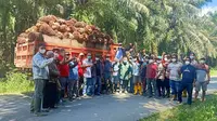 Menuai Manfaat Kelapa Sawit Lewat Kerja Sama dengan Petani
