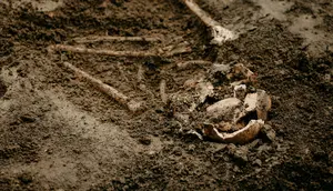 Mau Bangun SD, Warga Malah Temukan Makam Berusia 7.000 Tahun