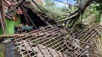 Dapur rumah warga di Banyuwangi rata dengan tanah akibat tertipa pohon kelapa  karena cuaca buruk (Hermawan Arifianto/Liputan6.com)