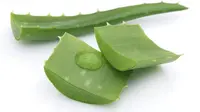 5 Manfaat Lidah Buaya Untuk Kecantikan 