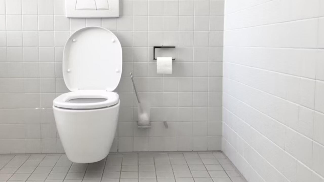 Ilustrasi Toilet