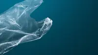 Pakar Singgung Dampak Mikroplastik pada Manusia dan Hewan, Gangguan Reproduksi Jadi Ancaman
