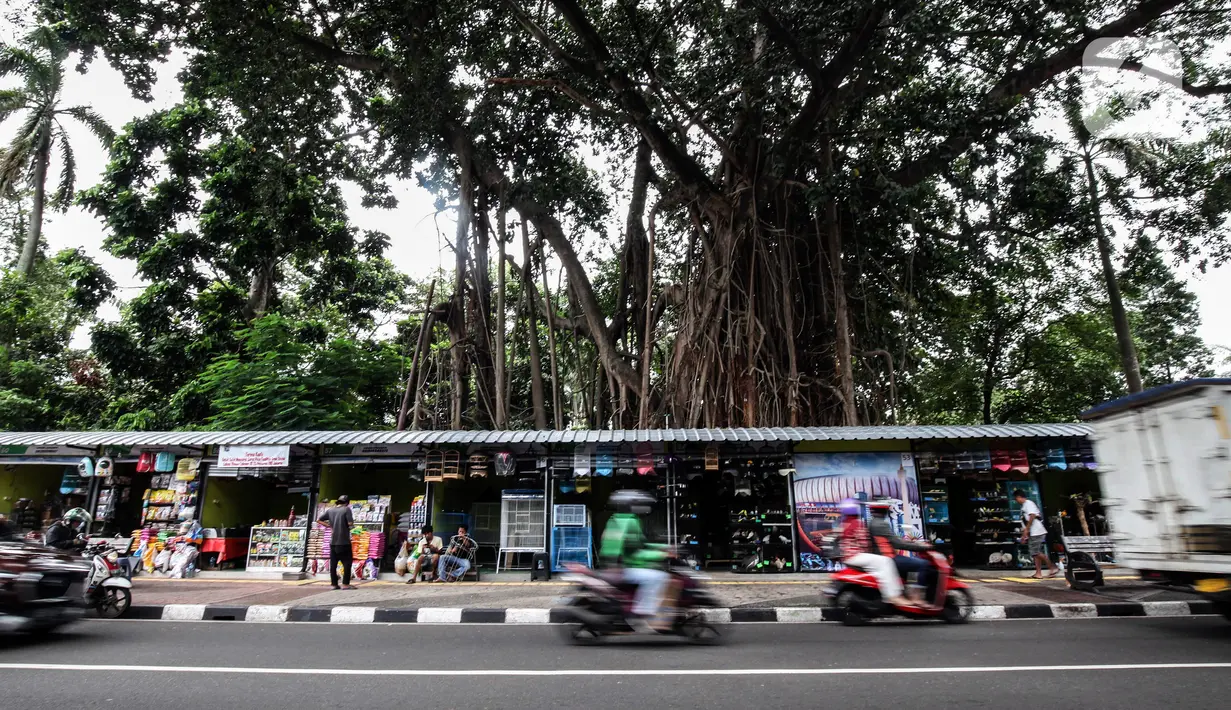 Kendaraan melintas di pasar hewan Barito, Kebayoran Lama, Jakarta, Selasa (25/10/2022). Sebanyak 85 kios kini telah memiliki 'wajah baru' dengan tempat yang higienis, mengutamakan estetika, dan suasana tenang sehingga para pembeli maupun penjual bisa merasa nyaman saat melakukan transaksi. (Liputan6.com/Johan Tallo)