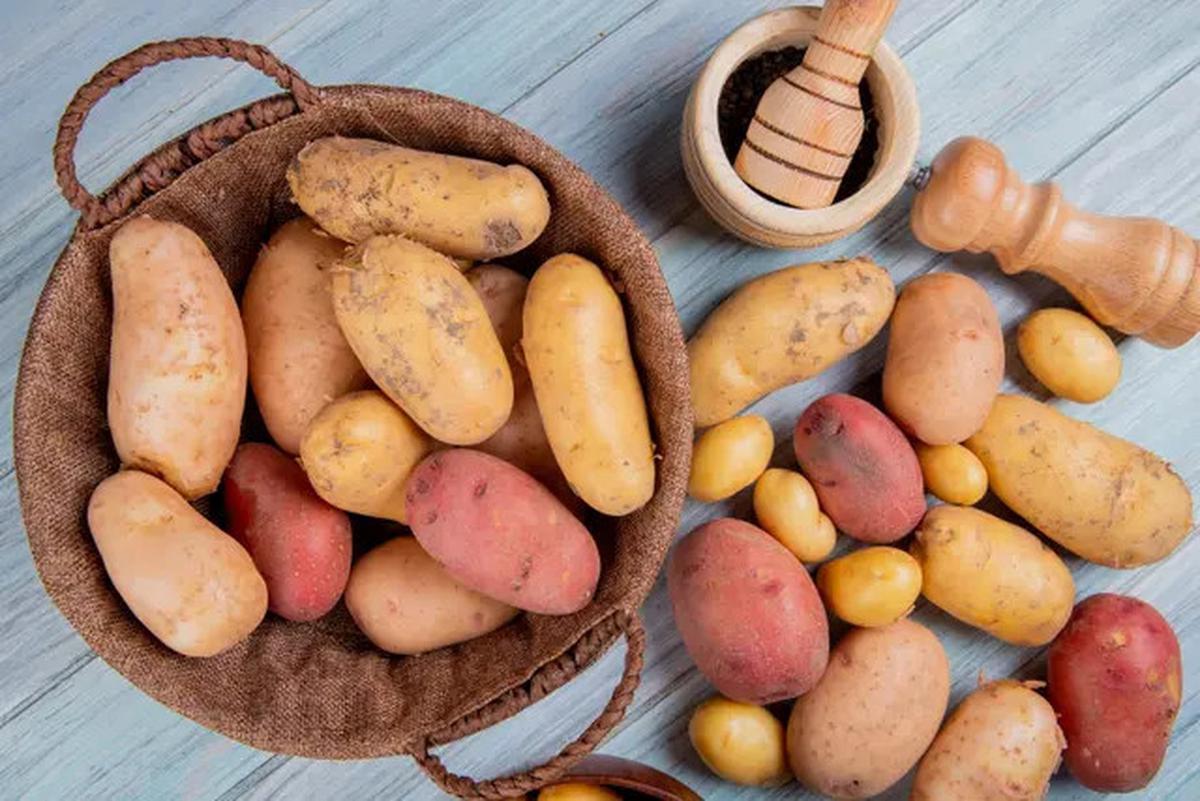 Makanan yang Kaya akan Serat untuk Kesehatan Pencernaan