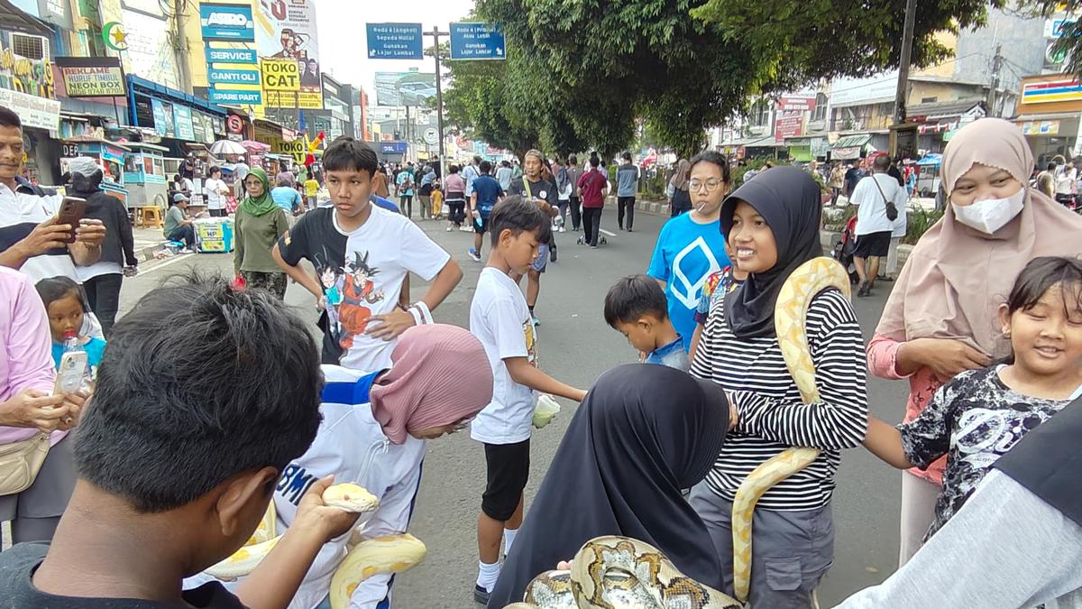 Ketika CFD Depok Diramaikan Ular hingga Iguana, Jadi Sarana Edukasi dan Hiburan Warga
